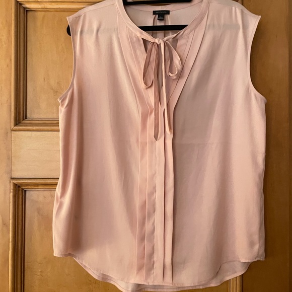Ann Taylor Pale Peachy Pink Sheer Blouse size Large - Picture 2 of 7